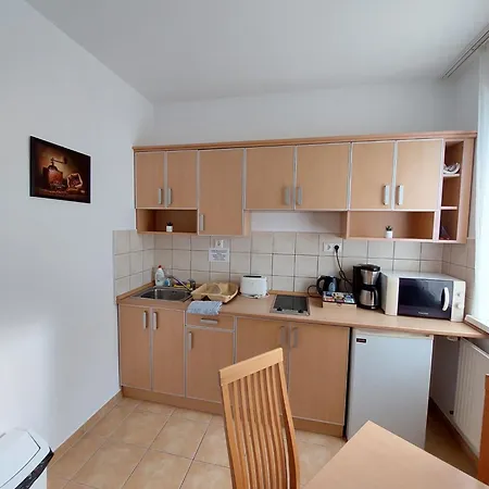 Ξενοδοχείο με διαμερίσματα Delfin Zalakaros