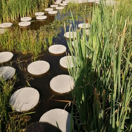 Delfin 아파트호텔 잘라카로쉬