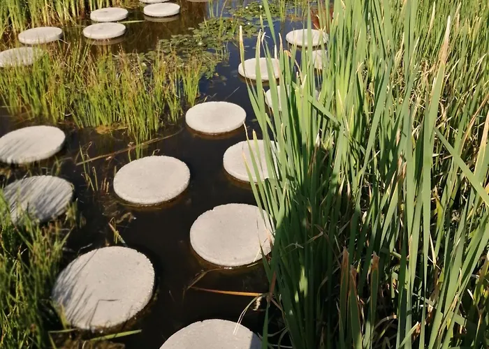 Delfin Aparthotel Zalakaros