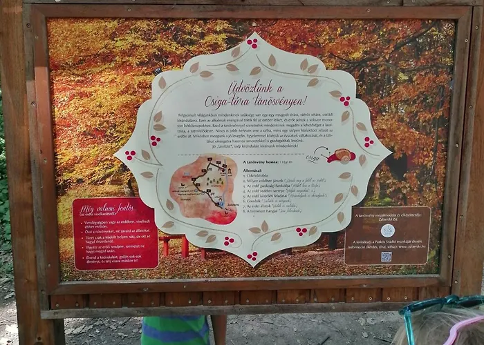 Aparthotel Delfin 3*